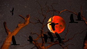 Blood Moon